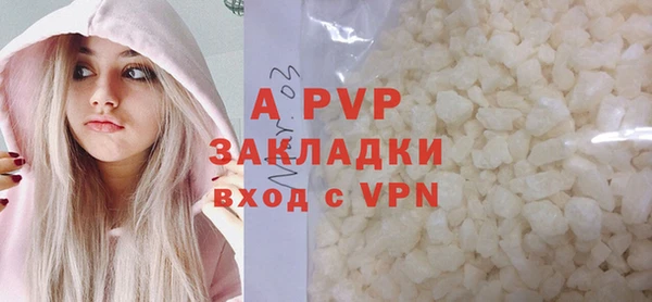 молекула духа Ладушкин