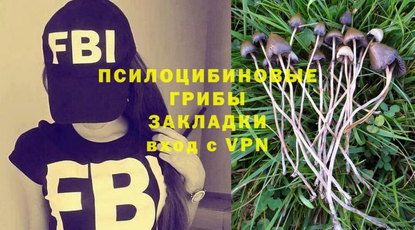 сатива Алексин